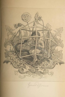 THOMA Hans „Knabe im Käfig“, Radierung, unten mittig signiert, Druckplatte 26,5x23,5cm, Rahmen 49x34cm