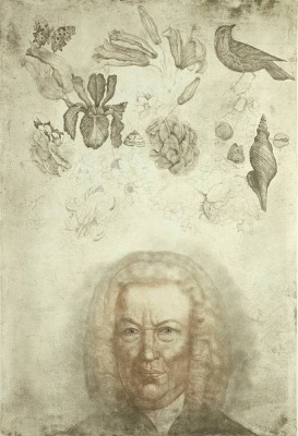 ANDERLE Jiri 