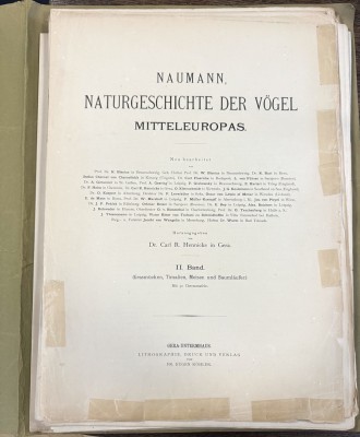 Naumann, Johann Friedrich 