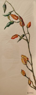 Gottlieb, Elah (1913-2005) Zweig mit Knospen, Aquarell auf Papier, 1962.