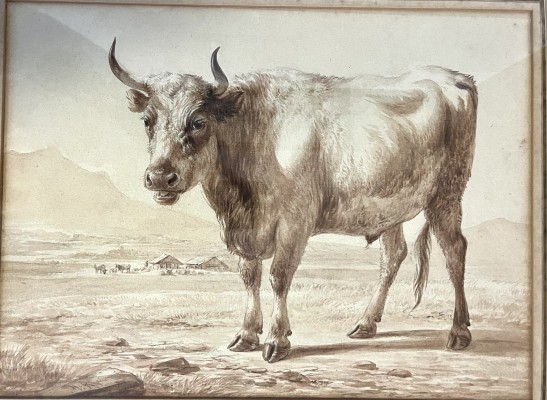 Van Ravenswaay, Jan (1815-1849) Rind, Aquarell.
