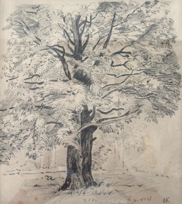 Kokoschka, Oskar (1886-1980) Blühender Baum, Bleistift-Zeichnung.