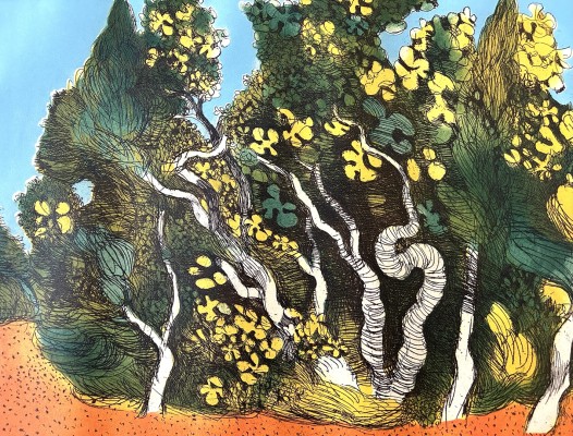 Anonym (20. Jahrhundert) Buntes Gewächs, 1975, Farbradierung.