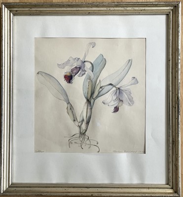 Dependorf, Albertine (20. Jahrhundert), 