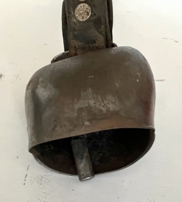 Kuhglocken, aus dem Kanton Thurgau und St. Gallen, drei Stück. Zwei davon an einem Lederhalsband mit Schließe.