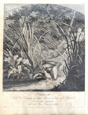 Ridinger, Johann Elias (1698-1767) 