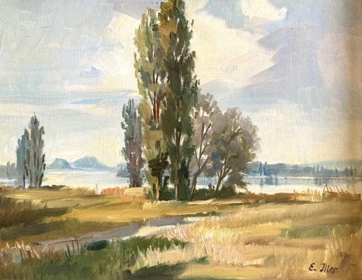 Iller, E. (20. Jahrhundert) Blick von der Reichenau auf die Hegauberge, Öl auf Leinwand.