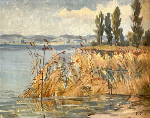 Iller, E. (20. Jahrhundert) Blick von der Reichenau auf das Schweizer Ufer, Öl auf Leinwand.
