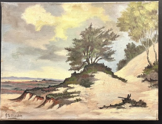 Meyden, H.W. (20. Jahrhundert) Strand und  Bäume, Öl auf Leinwand.