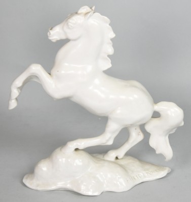 PFERD Rosenthal