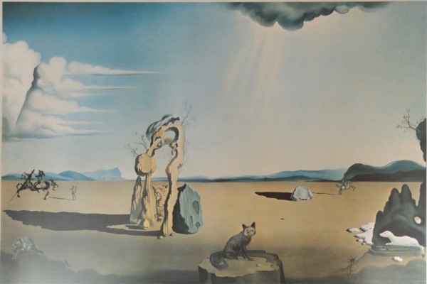 Dali Salvator 