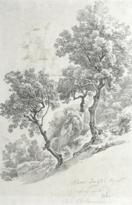 BELLERMANN Ferdinand Konrad 